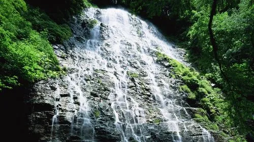 节能自动化